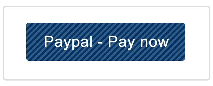 Paypal Online secure payments
